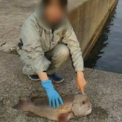 モンスターハンター釣行